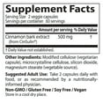 Doctor's Best Cinnamon Extract with CinSulin, NonGMO, Vegan, Gluten