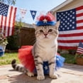 thumbnail image 4 of Independence Day Pet Hat And Skirt Set, Red White Blue Outfit For Cats Dogs Holiday Party Gathering, Adjustable Breathable 2 Piece Pet Apparel For Patriotic Celebration Photo Shoot, 4 of 6