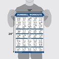 thumbnail image 2 of Ejercicio con mancuernas Poster Palace Learning, 18 x 24 cm, 2 of 5