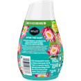 thumbnail image 3 of Renuzit Adjustable Gel Air Freshener Cone, After the Rain Scent, Nonstop Freshness, 7oz Cone, 12 Count, 3 of 8