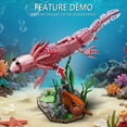 thumbnail image 3 of Detailed Axolotl Building Block Set, Cute Pink Salamander Model with Aquatic Base for Desk Decor, Creative DIY Construction Toy for Kids and Teens, Unique Gift, 3 of 4