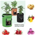 thumbnail image 3 of Potato Growing Bag, 5-pack 10 Gallon Vegetable Growing Plant Bags With Viewing, 3 of 5