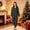 Black a Women, variant on Family Matching Christmas Onesie Pajama, Hooded Full Zip Long Sleeve Jumpsuit, Allover Colorful Christmas Tree Print, Pajama for Women Men