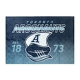 thumbnail image 1 of CFL Toronto Argonauts Family Blanket, 62" x 90", 1 of 4