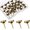 Bronze, variant on 30 Pieces Push Pins, Metal Thumb Tacks for Picture Photo Hanging, Wall Pins for Board Posters Bulletin Maps, Wall Tack for Office Home Decorative