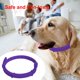 thumbnail image 4 of WDOplteas Collar antipulgas Anti-Ansiedad Impermeable Mascota Perro Gato Collar repelente insectos (Púrpura), 4 of 9