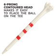 thumbnail image 4 of Champ 86504 Zarma Flytee My Hite Pack Combo 3-1/4 Pouces Blanc avec Rayures Rouges T-Shirts de Golf, 4 of 4