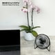thumbnail image 5 of Ventilador de escritorio Beckon USB + clip personal portátil BV-10 15.2 cm, 5 of 6
