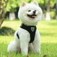 thumbnail image 4 of Small dog strap, dog vest strap, pet chest strap, small dog suffocation-free breathable stride strap, 4 of 5