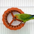 thumbnail image 4 of Parrot Exercise Wheel And Steering Interactive Bird Activity Center With Chewable Wooden For Conures Budgies 1pc, 4 of 4