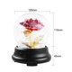 thumbnail image 5 of Cúpula de cristal Lámpara de rosas Flor para siempre Flor cálida Luz de noche Flores eternas Rosa co Irfora Lámpara de mesa, 5 of 7