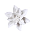 thumbnail image 5 of yotijay Ceramic Decor Lily Statue Modern for Living Room Bedroom Friends L L, 5 of 9