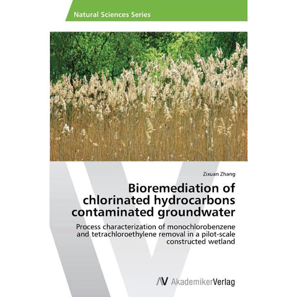 Bioremediation of Chlorinated Hydrocarbons Contaminated Groundwater