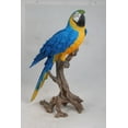 thumbnail image 1 of Garden Decor Animal Statue Large Blue/Yellow Macaw Statue, 1 of 4