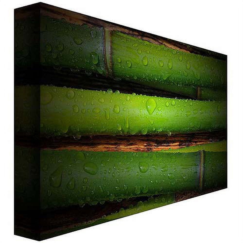 Trademark Art "Bamboo Drops" Canvas Art by Philippe Sainte-Laudy