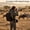 Black, variant on Camera Backpack, Waterproof Shockproof Photography Bag with Tripod Holder for DSLR & Mirrorless Gear, Gray