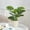 Green_D, variant on YOHAVEN Artificial Potted Green Plants, Realistic Simulation Indoor Desk Bookshelf Decoration, Maintenance-Free Home Office Tabletop Plant for Living Room Decor