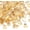 Gold,1/2 Inch, variant on Fire Glass for Fire Pit, 1/2 Inch White Reflective Firepit Glass Rocks for Fire Pit Table, Outdoors and Indoors Fireplace Glass,10 Pounds