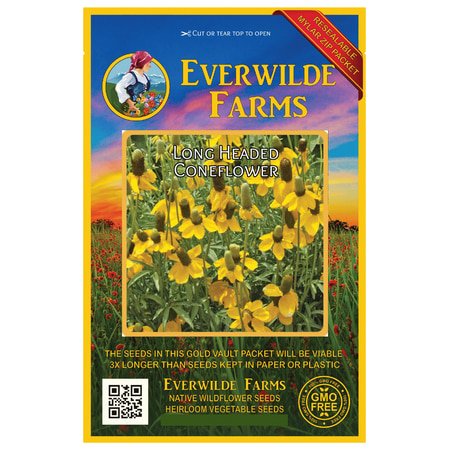 - Everwilde Farms - 2000 Long Headed Coneflower Native Wildflower Seeds - Gold Vault Jumbo Bulk Seed Packet
