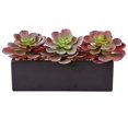 thumbnail image 1 of Nearly Natural 6975 Echeveria Succulente dans un Pot Rectangulaire, 1 of 4