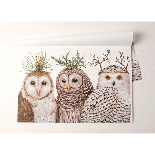 Winter Owls Paper Placemat Set/30 American Made