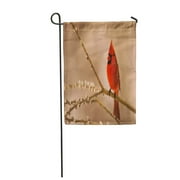 NUDECOR Mr Red Male Northern Cardinal Perched on Beautiful Spring Day Garden Flag Decorative Flag House Banner 12x18 inch