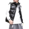 thumbnail image 2 of Boys Girls Shiny Metallic Puffer Vest Zip Up Stand Collar Sleeveless Winter Outerwear 3-4 Years Jacket for Little Kids, 2 of 6