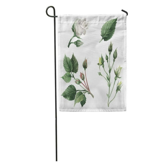 NUDECOR Wildflower Rose Flower in Watercolor Full Name of The Plant Garden Flag Decorative Flag House Banner 28x40 inch