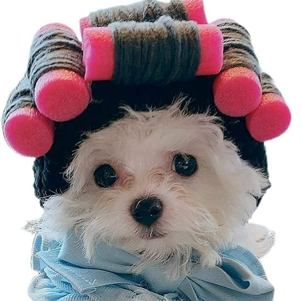 Dog dress up hot sale costume