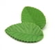 thumbnail image 3 of 200X Hojas de Flores Artificiales para Decoración de Bodas, Guirnalda, Follaje de Hojas de Rosas, Decorativa, Verde, 3 of 4