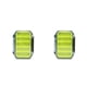 thumbnail image 2 of Caja para moscas Naiovety doble cara Verde Pequeño 2Conjunto, 2 of 6