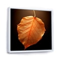 thumbnail image 2 of Designart "Maple Foliage With Tangerine Orange Translucency" Leaves Floater Framed Canvas Wall Art, 2 of 5