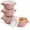 Blush, variant on Kook Soup Bowls Crocks with Handles, 18 oz, Set of 4, Yellow