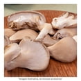 thumbnail image 3 of Seta Monteblanco 250 g, 3 of 4