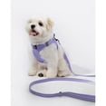 thumbnail image 3 of BELLA & PAL Puppy Harness and Leash Set,Reflective Adjustable Dog Harness for Small Dogs No Pull,Step in Soft Mesh Harness for Extra Small Dogs,Purple Lavender,XS, 3 of 10