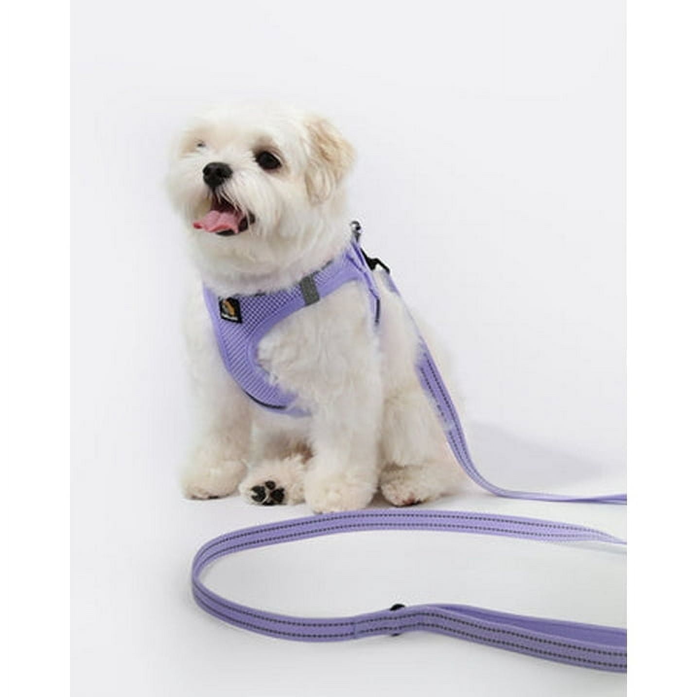 BELLA & PAL Step-In Dog Harness and Leash Set, Purple, XS photo 8