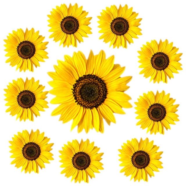 Houderco 1Jgo Vinilo Decorativo Girasol Amarillo Fácil De Y Quitar Para Hogar