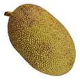 thumbnail image 2 of Yaca por kilo, 2 of 3