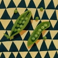 thumbnail image 3 of Scarvey, Emma 15x15 Black Modern Framed Museum Art Print Titled - Geo Veggies IV, 3 of 5
