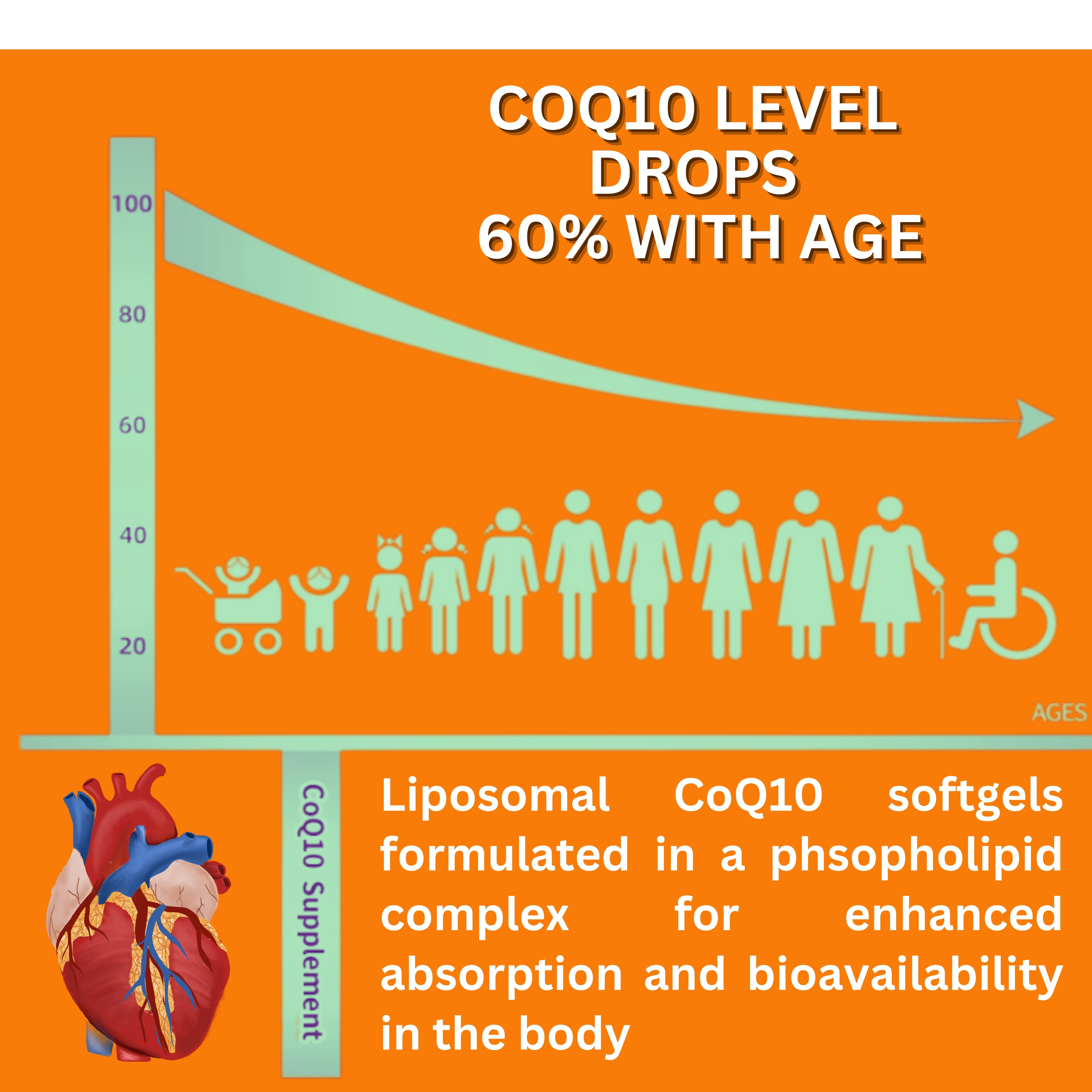 Nikoni Liposomal CoQ10 1000 mg Maximum Strength Supports Heart and Brain Antioxidant Support 60 Count Vegan Softgels