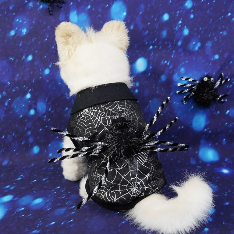 Cat holiday outfits 2025