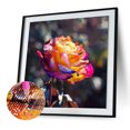 thumbnail image 3 of 5D DIY Kit Rosa Del Arte Artesanal 30x30cm, 3 of 8