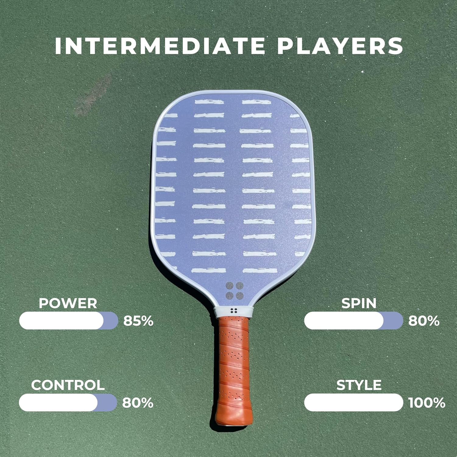 Holbrook Sport Series USA Pickleball Series Approved Paddle