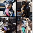 thumbnail image 4 of KAIYANG Arnés tipo chaleco para mascotas con correas de hombro ajustables y hebilla de liberación rápida (negro, S) L negro, 4 of 5