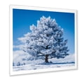 thumbnail image 2 of Designart "Snowy White Pine Tree" Floral Framed Wall Art Decor - Traditional White Tree Pine Living Room Framed Canvas Art, 2 of 6