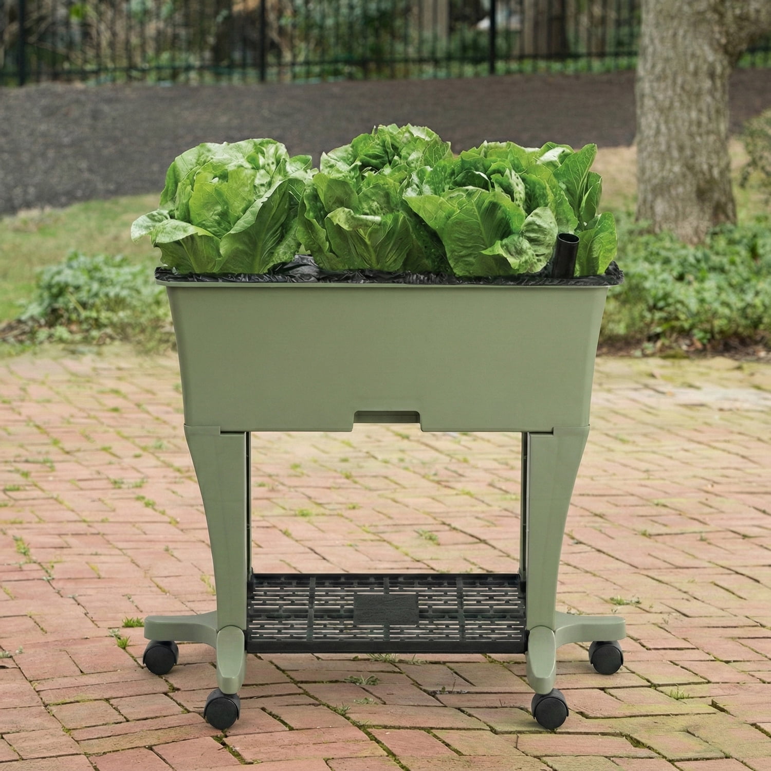 EarthBox Elevated Raised Garden Bed with Legs and Wheels, Self-Watering Planter Box with Premium Plant Food - Sage