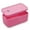 Pink, variant on Locbbie Small Lock Box with Code – Lockable Storage Box for Medication, Food, Electronics & Personal Items Safe – BPA-Free