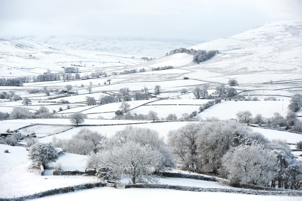 Peaceful Snow Scene