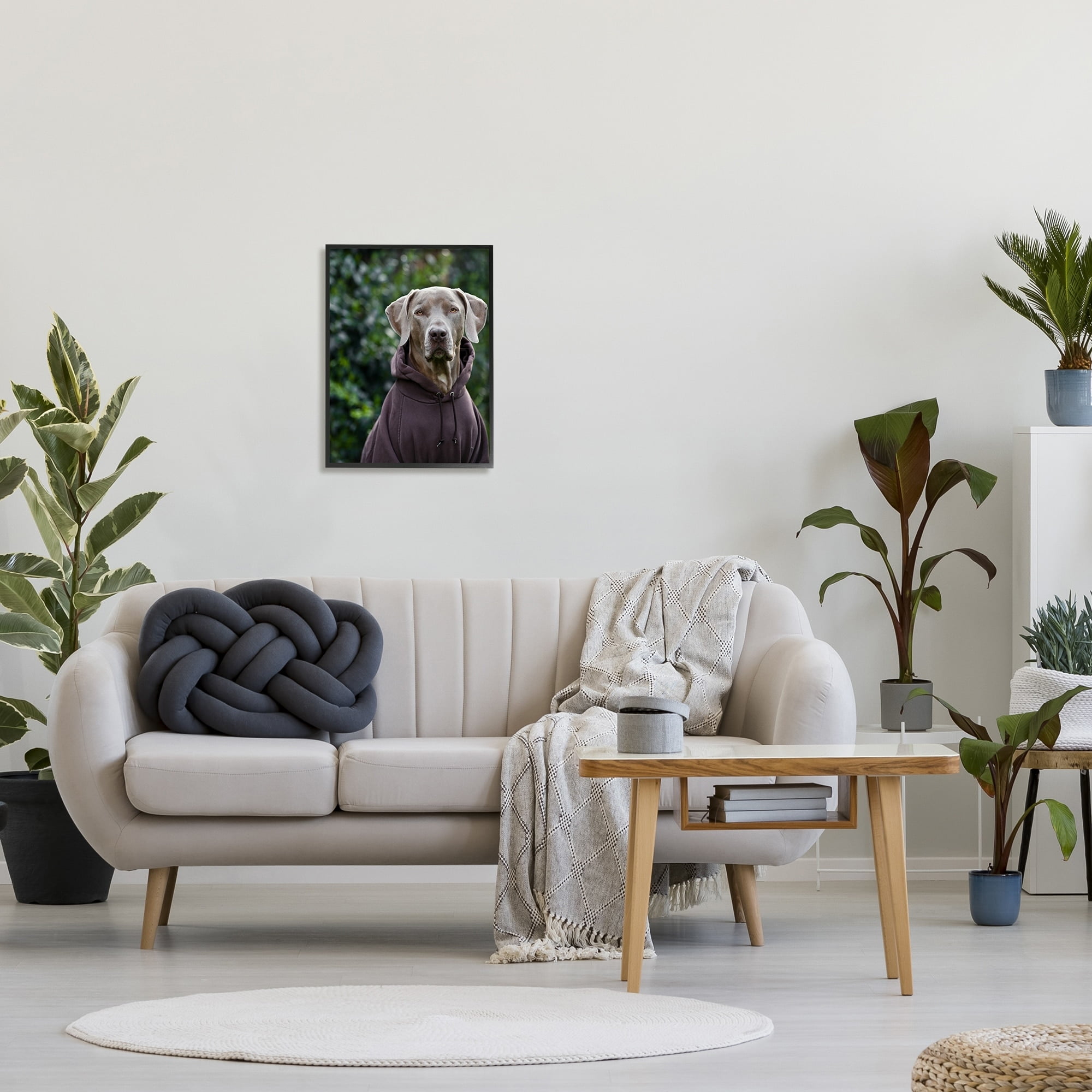 Stupell Industries Labrador Dog Wearing Sweatshirt Hoodie Detailed Photography Photograph Black Framed Art Print Wall Art, Design by Michael Brian