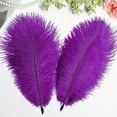 thumbnail image 4 of Nvzi 24 piezas de plumas de avestruz amarillas naturales a granel de 10 a 12 pulgadas, 25 a 30 cm, para centros de mesa de bodas, fiestas, Pascuas, Gatsby y decoración del hogar, plumas de avestruz, 4 of 5